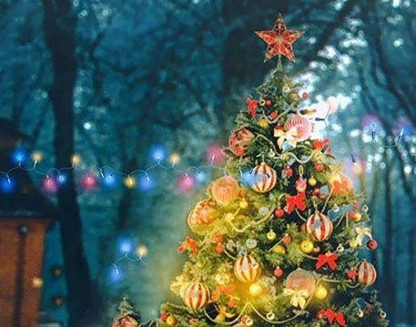 Merry Christmas Tree Background