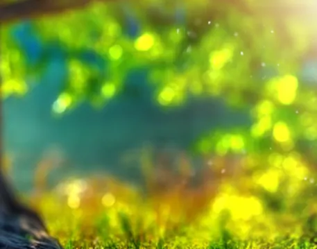 Nature Editing Background