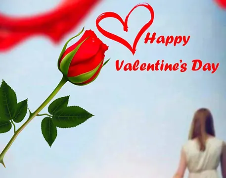 Valentine's Day Picsart Background